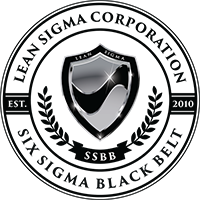 Lean Six Sigma Black Belt<br />Certification Exam with Test-Prep